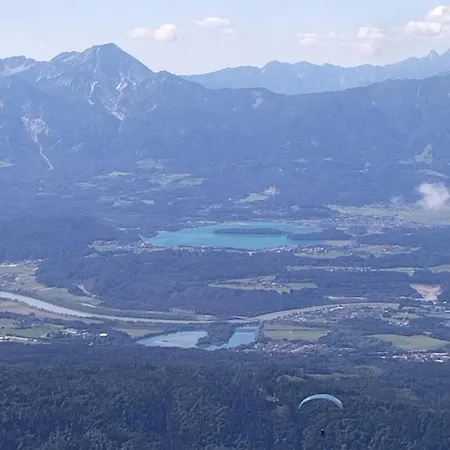 Schaetzer - Geiger *