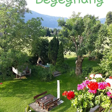 Schaetzer - Geiger *