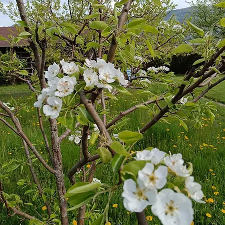 Schaetzer - Geiger * Bodensdorf