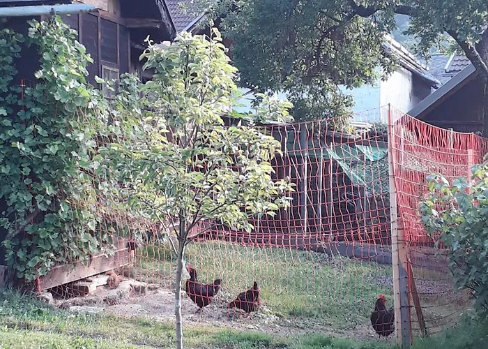 Schaetzer - Geiger * Bodensdorf