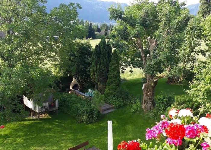 Schaetzer - Geiger *