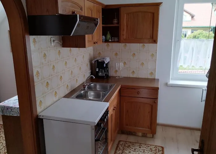 Schaetzer - Geiger *