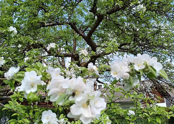 Schaetzer - Geiger アパート *